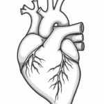Human-Heart-Printable-Sketch
