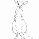 Kangaroo-Printable-Sketch